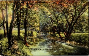 Still Stream Running Through Cherokee Park, Louisville KY Vintage Postcard J28