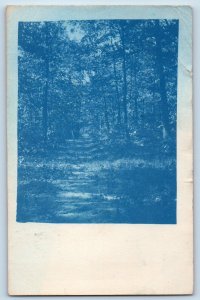 Wanamingo Michigan MI Postcard RPPC Photo Forest Scene Trees Cyanotype 1909