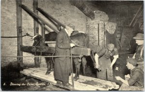 Oregon Trail Monument Expedition postcard - Shoeing the Oxen, Seattle 1906 