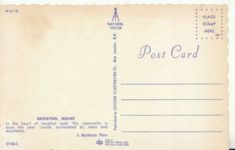 America Postcard - Bridgton - Maine -  Eastern Illustrating Co - TZ11042