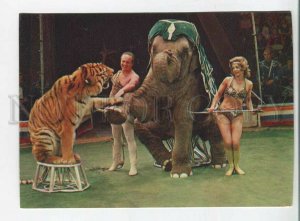 480954 1979 Soviet circus attraction Elephants tigers Dolores Mstislav Zapashny