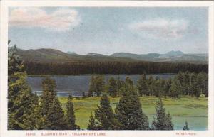 Sleeping Giant Yellowstone Park Wyoming