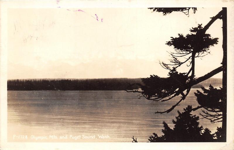 Puget Sound Washington~Olympic Mountains & Puget Sound (from Trees)~1947 RPPC