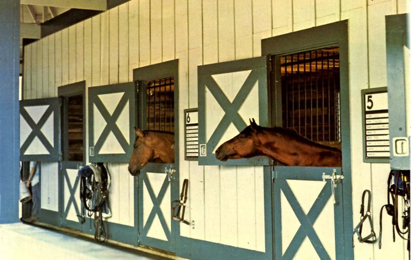 KY - Lexington. Kentucky Horse Park