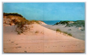 Sand Dunes Beach View Cape Cod Massachusetts MA UNP Chrome Postcard Y13