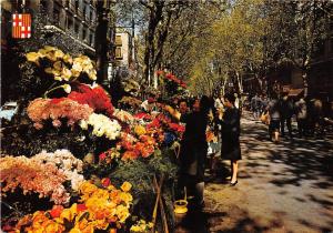BG27411 barcelona promenade des fleurs   spain