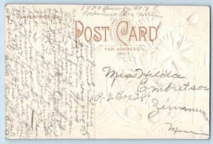 Minneapolis Minnesota MN Postcard Cornflower Constancy Embossed c1910's Antique