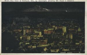 Bird's Eye View Portland OR Oregon by Moonlight ~ Cadillac Night View ~ Postcard