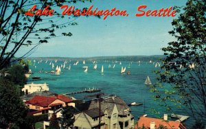 Washington Seattle Sailboat Racing On Lake Washington