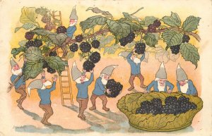 Autumn E. Kreidolf dwarfs gnomes picking grapes Pro Juventute Switzerland 1919