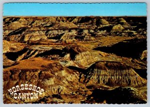 Horseshoe Canyon, Badlands, Drumheller Alberta, Chrome Postcard, NOS