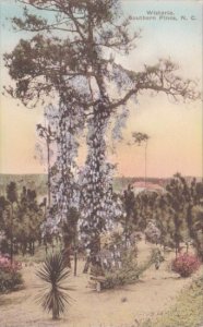 North Carolina Southern Pines Wistaria Trees Handcolored Albertype