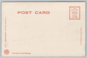 Ohio~Toledo~Ravine~Footbridge~Walbridge Park~B&W~Rotograph~Vintage UDB Postcard 