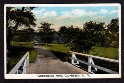 NY Greetings from CONIFER NEW YORK PC Horse & Buggy