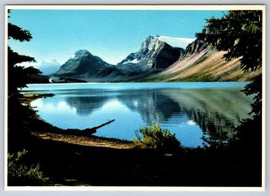 Bow Lake, Crowfoot Mountain, Banff National Park Alberta, Don Harmon Postcard #1
