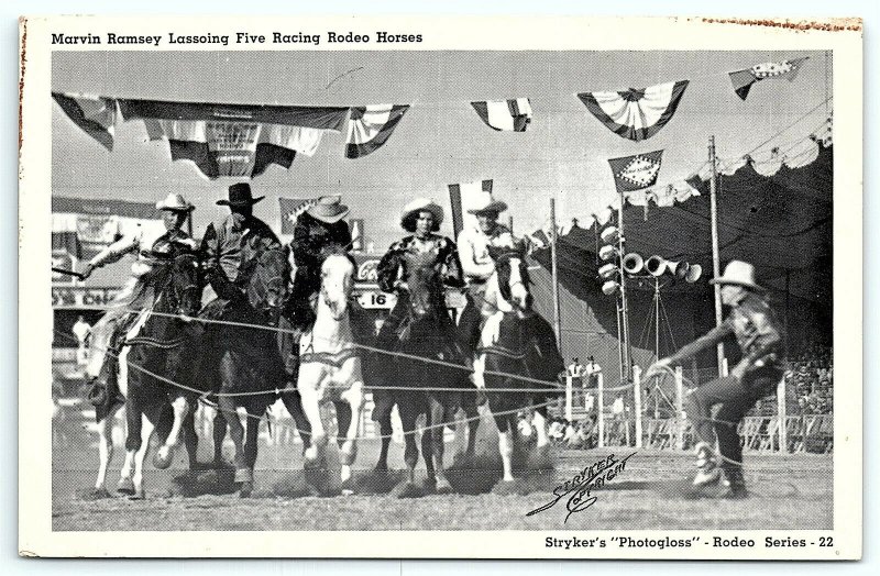 VTG Postcard Marvin Ramsey Racing Rodeo Horses Stryker's Photogloss Cowboy A5