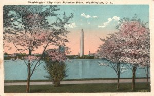 Vintage Postcard Washington City From Potomac Park Washington DC B. S. Reynolds
