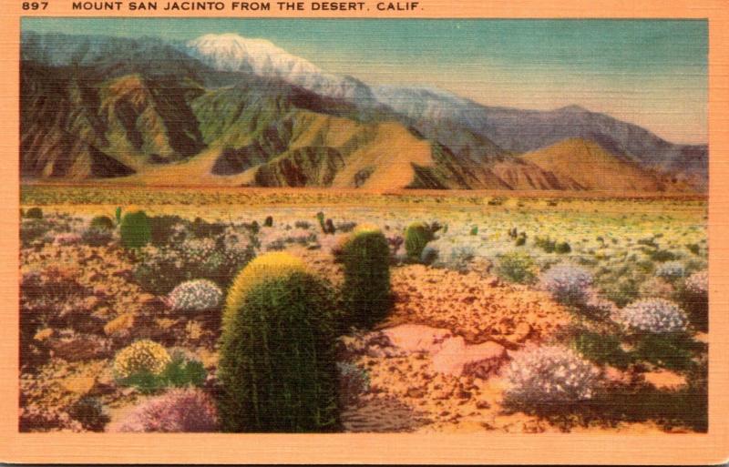 Cactus Mount San Jacinto From The Desert California