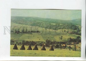 470419 USSR 1967 year Ukraine Subcarpathia in the green Carpathians postcard