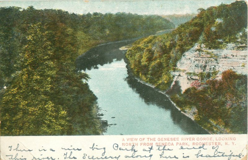 Rochester, NY Genesee River Gorge Looking North From Seneca Park 1907 Postcard