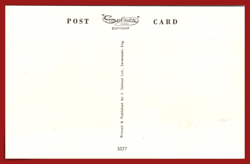 Friendly Tussle - Cocker Spaniel & Terrier - [MX-968]