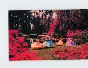 Postcard Happy Times in Beautiful Cypress Gardens Florida USA