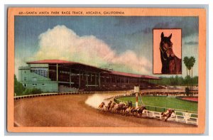 Santa Anita Park Race Track Arcadia California c1947 Postcard