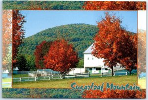 Rich farmland, with its blazing autumn colors, Sugarloaf Mountain - Maryland