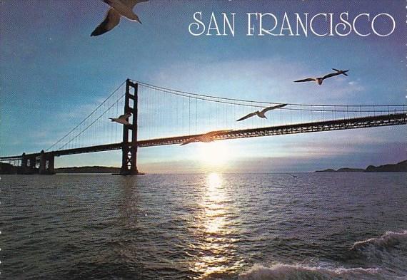 California San Francisco Seagulls And The Golden Gate Bridge