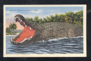 COMING FOR YOU IN FLORIDA HUGE ALLIGATOR CROCODILE VINTAGE POSTCARD