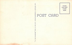 Vintage Postcard 1920's Mainliner View The Roundup Pendleton Oregon OR