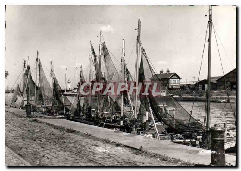 Modern Postcard Honfleur Fishing boat dockside Boat