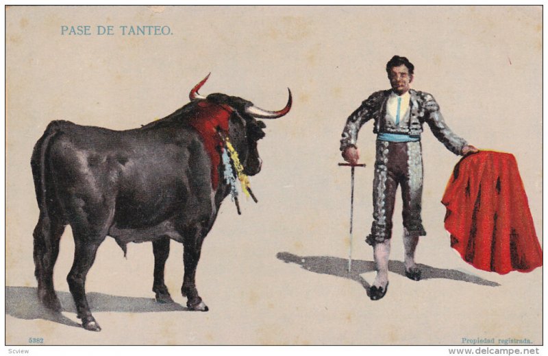 Pase de Tanteo, Matador facing Bull with sword and cape, 00-10s