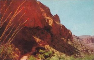 Arizona Apache Trail Fish Creek Hill On The Apache Trail