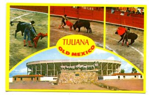 Mexico - Tijuana, Baja California. Bullfighting, Bull Ring