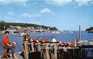 Harbor Entrance in this fishing & resort village - New Harbor, Maine ME  