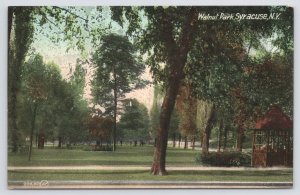 Syracuse New York~Walnut Park Gazebo~Valentine & Sons Publishing Co~Vintage PC