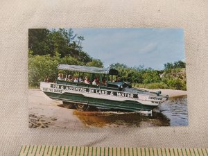 Postcard - Duck Entering Wisconsin River - Wisconsin Dells, Wisconsin