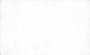 Tony The Farmers Friend 1916 