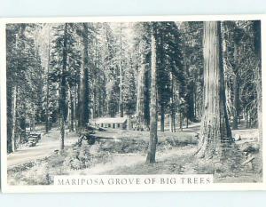 Old rppc MARIPOSA GROVE OF BIG TREES Wawona & Stockton California CA HM4110