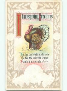 Divided-Back THANKSGIVING SCENE Great Postcard AA0644