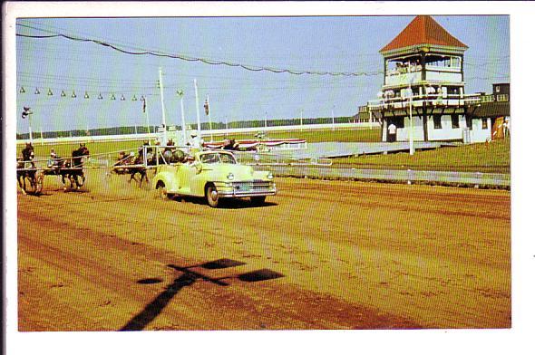 Horse Race, Leave the Wire, Charlottetown Driving Park, Prince Edward Island,