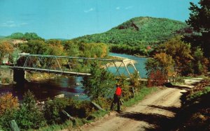 Vintage Postcard Woods Road Forest Lake Bridge Scene in Vermont