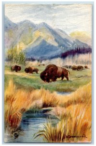 Banff Alberta Canada Postcard The Buffaloes Can. Rockies c1910 Oilette Tuck Art
