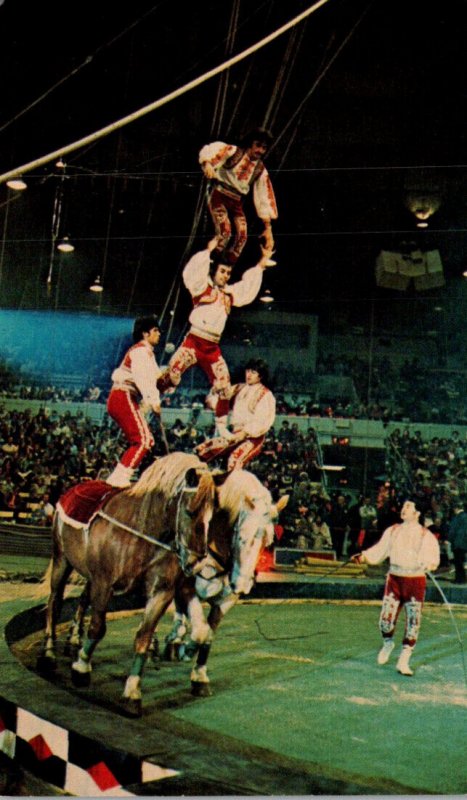 Circus Ringling Brothers Barnum & Bailey Bareback Bravade Acrobats On Horseback