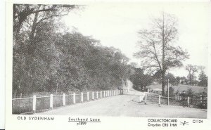 London Postcard - Old Sydenham - Southend Lane c1899   - U731