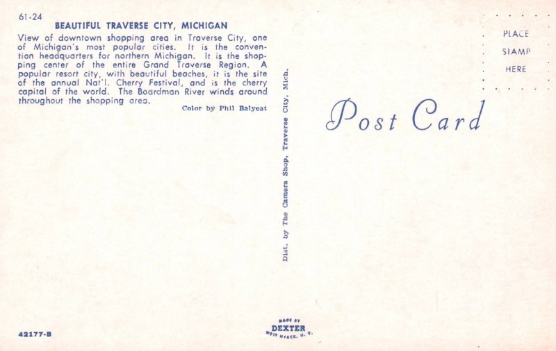 Bird's Eye View,Traverse City,MI