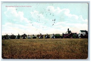 Hillsboro North Dakota ND Postcard Harvesting Scene Farming 1909 Posted Antique