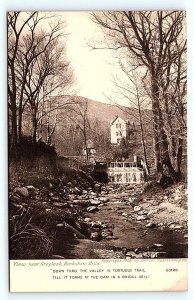 MT. GREYLOCK, MA Massachusetts ~ BERKSHIRE HILLS Creek Scene 1906  Postcard