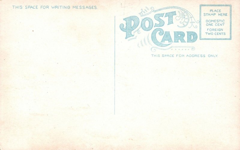 Vintage Postcard 1920's Hunt Hill From King's Cove North Weymouth